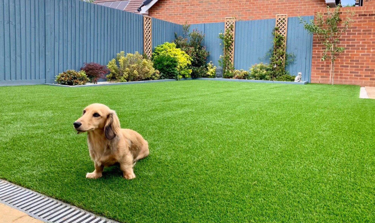 Pet-friendly artificial turf with drainage system in Bloomington, IN